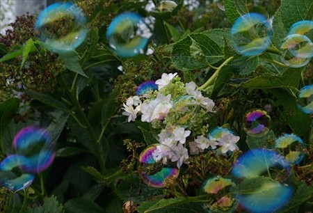 IMGP0123_0802