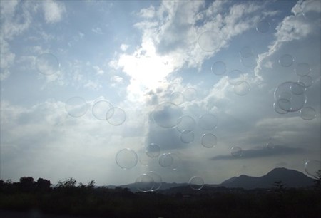 DSCF8654_0814