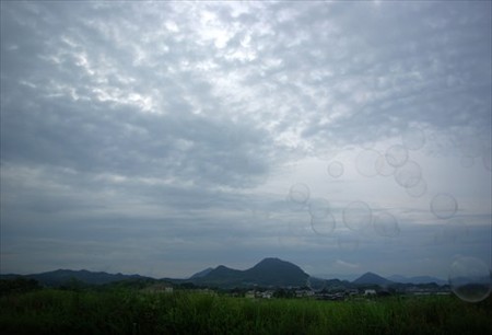IMGP3434_0815