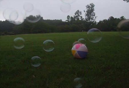 DSCF8824_0816