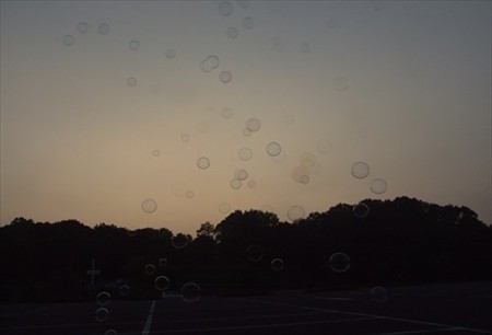 DSCF8920_0817