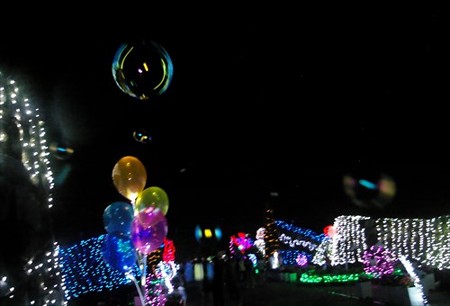 IMGP5550_0817