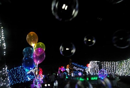 IMGP5554_0817