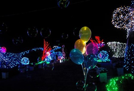 IMGP5691_0818