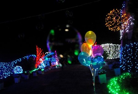 IMGP5701_0818