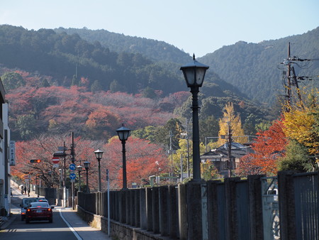 三井寺駅前の紅葉