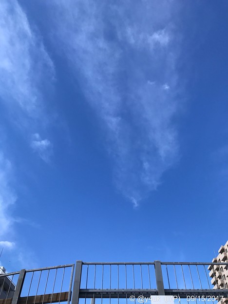 高い秋空、柵を超えろ ～autumn sky
