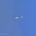 11.5お昼トランプ来日！横田基地から川越ゴルフへ米ヘリで～上空ヘリだらけ～これ県警～青空に青いヘリコプター【臨時緊急UP】