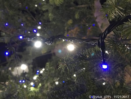 Night Xmas Tree 〜夜に輝く青と白〜iPhoneでボケ〜