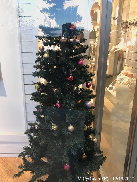 Xmas Tree in the shop
