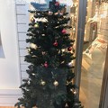 Xmas Tree in the shop