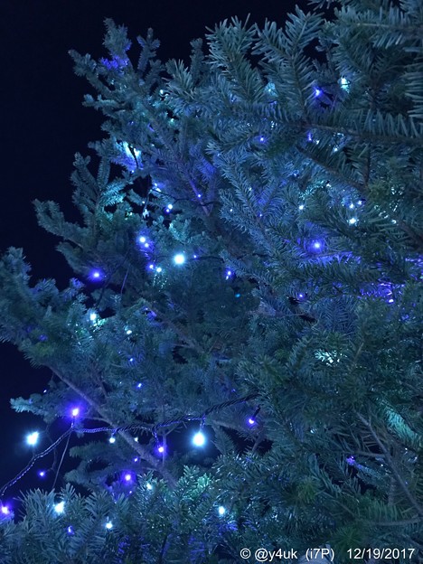 Blue &amp; White Lights Nights Xmas Tree [WB cold edit]