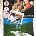 2018calendar本年も3種類で！～岩合光昭にゃんこ2種＆養命酒から貰った信州カレンダー