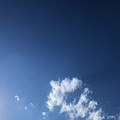 Photos: 1.11わんこの日の空～冬の青空、雲～winter blue sky