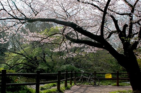 和田掘池