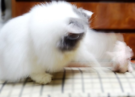 超スローパンチ