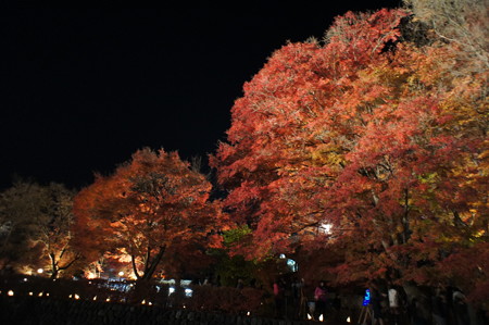 DSC02142