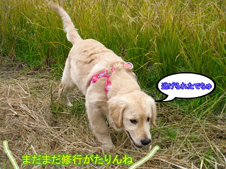 PIC00007