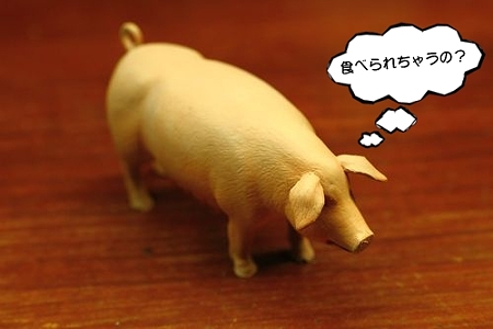 親ブタ (3)