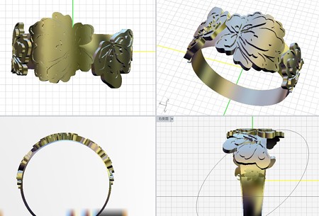 ring1