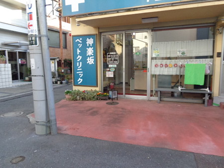 DSC08718