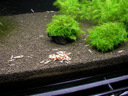 2010 06/05 001