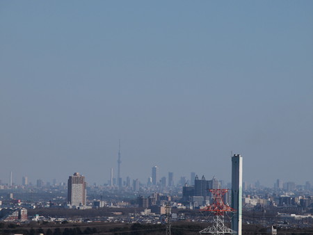 P1127696