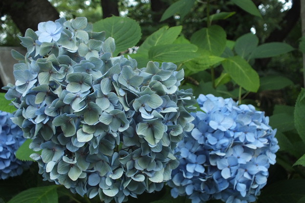 DSCF0624
