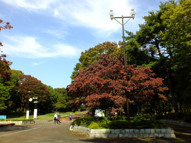 DSCF0113