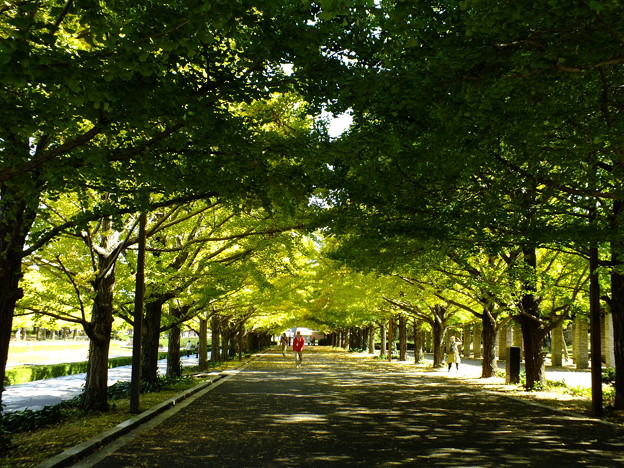 DSCF0120