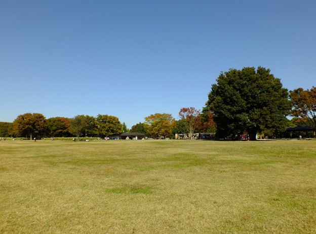 DSCF0299