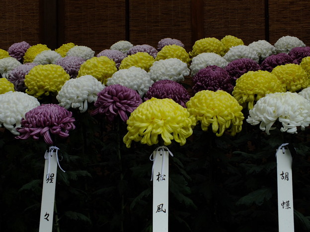 DSCF0207