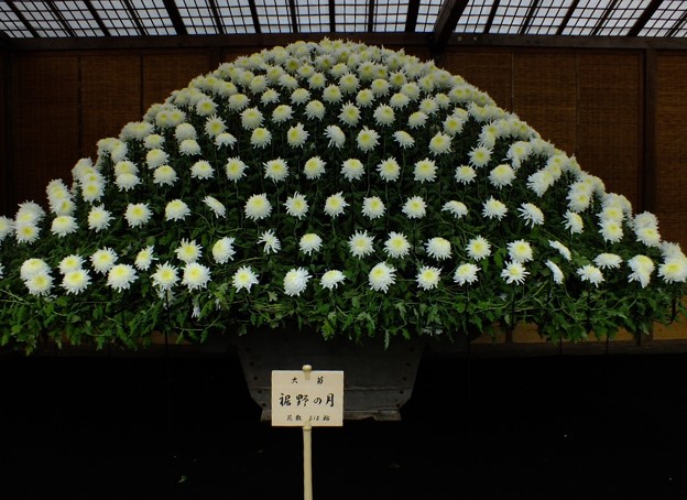 裾野の月59