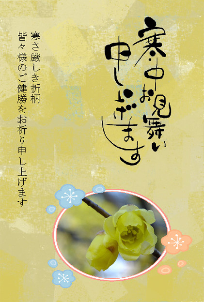 寒中6