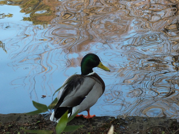 DSCF0157