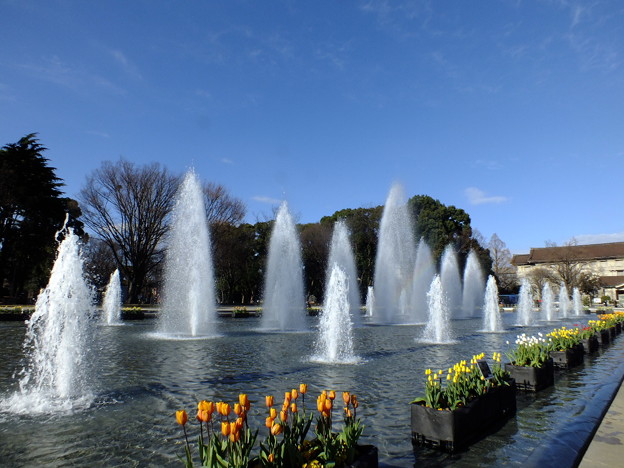 DSCF0404