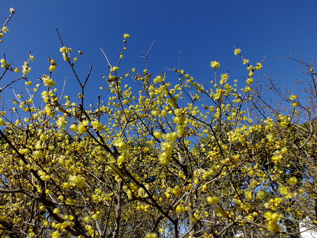 DSCF0167
