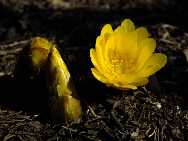 DSCF0135