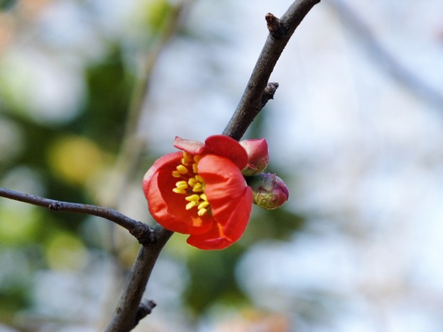 DSCF0138