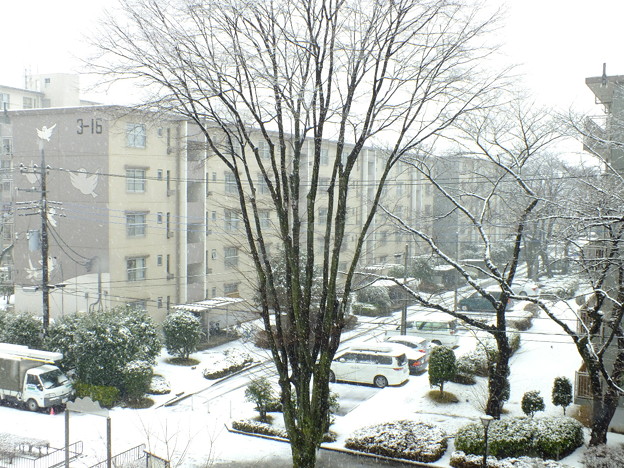 DSCF0069