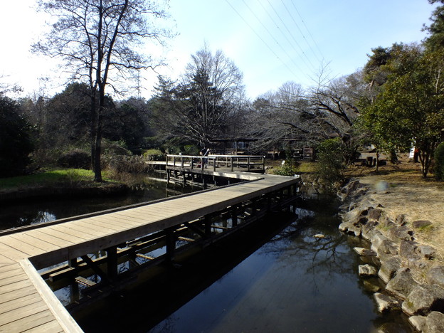 DSCF0204
