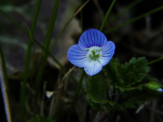 DSCF0065