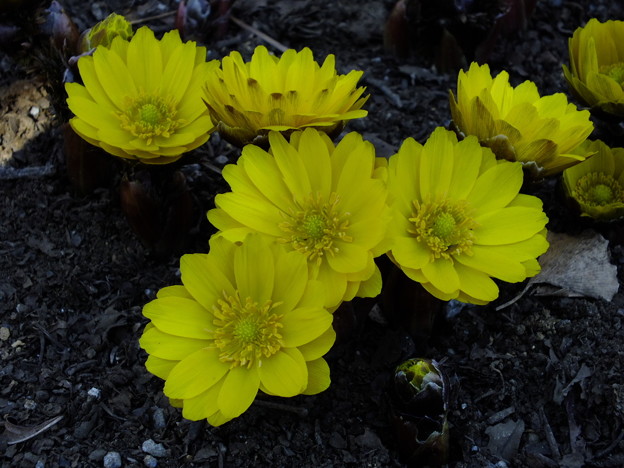 DSCF0143