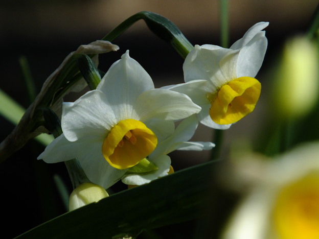 DSCF0047