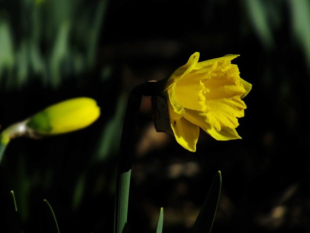 DSCF0417