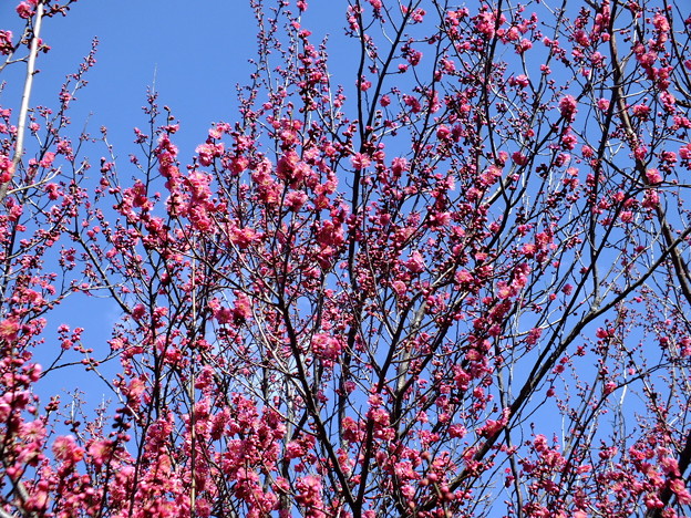 DSCF0057