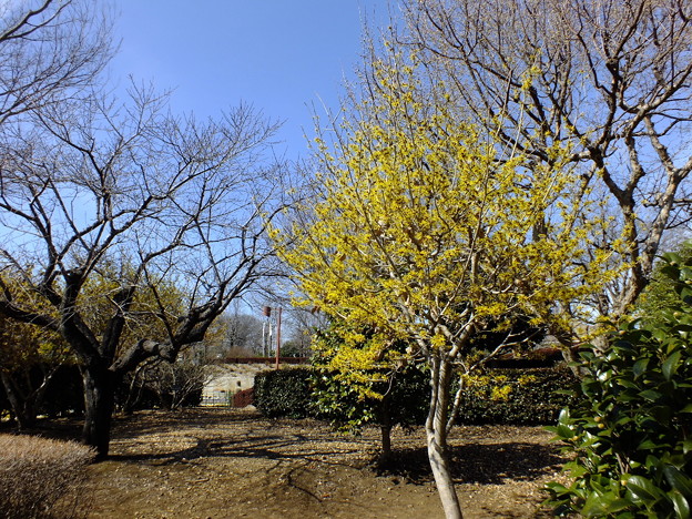 DSCF0174