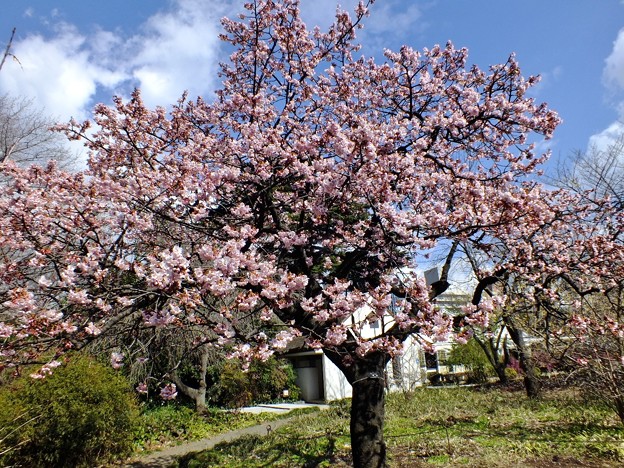 DSCF0133