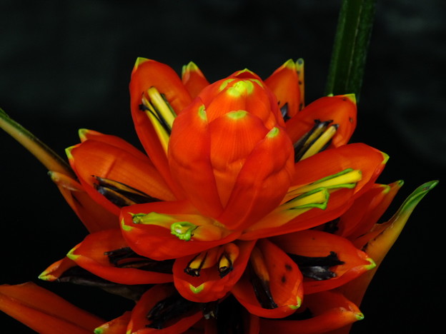 DSCF0263