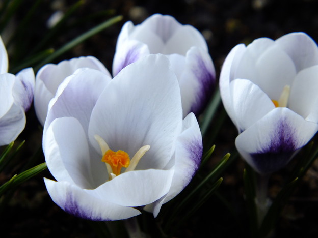 DSCF0275